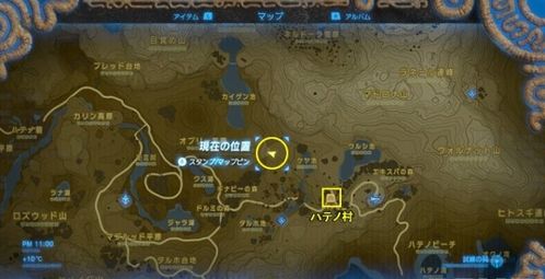 塞尔达商店什么时候进货