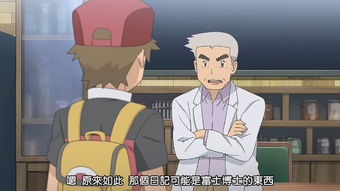 夏伯,夏伯渝