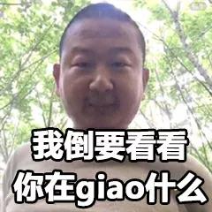 我giao,我giao是脏话吗
