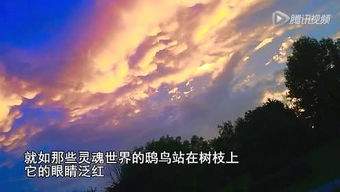彼岸的,彼岸的近义词