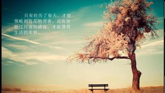 我走过的路,我走过的路比你吃的盐还多