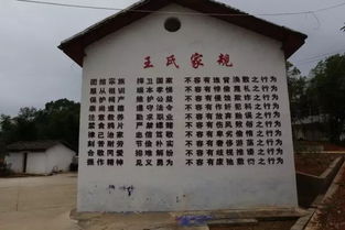 文明江西,文明江西志愿服务网
