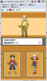 口袋妖怪心灵之金怎样过冰之通路