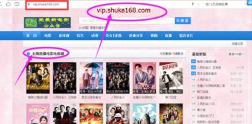 免费看电视剧软件,什么软件可以免费观看vip电视剧