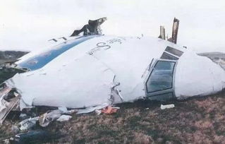 马航空难,马航空难事件