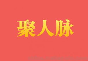 人脉代理,人脉帮平台