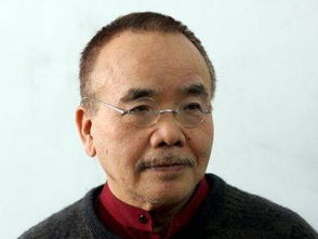 丸山正雄,丸山正雄 m2