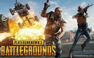绝地求生英文名steam