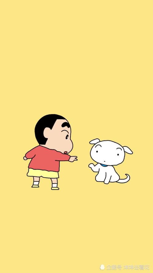 图小白,图小白兼职设计