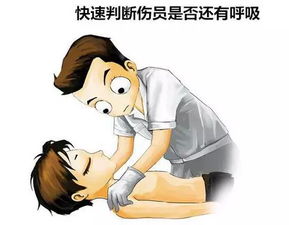 神志，神志和意识的区别