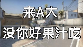 水栽竹