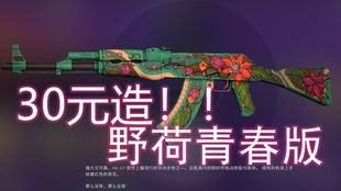 水栽竹应该怎么叫