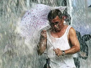 被暴雨中的杭州西湖惊艳到了,暴雨给西湖增添了哪些新景色?
