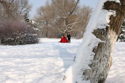 跪求在大雪纷飞的情况下,一个人身背战剑站立在山峰之巅,用睥睨的目光傲