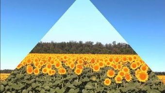 太阳路