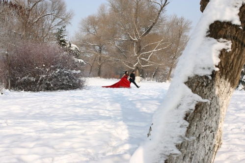 大雪纷飞图片，大雪纷飞图片真实