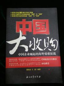 大收购,大收购小说