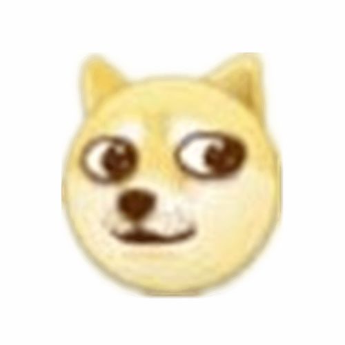 狗头图片大全,可爱狗头图片大全