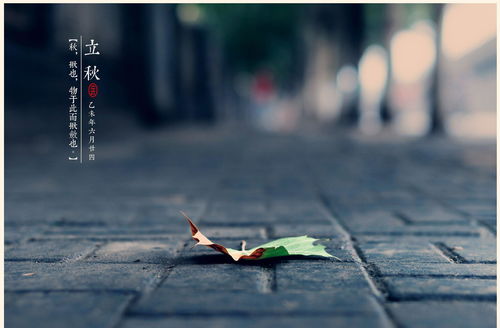 立秋图片，立秋图片手绘图