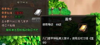 里莲华需要开几门?