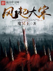 风起大宋，风起大宋 云舒兄