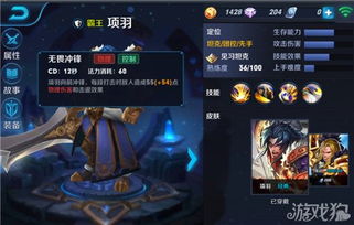 王者荣耀老司机,王者荣耀老司机是什么关系