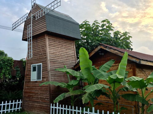 果园里的小屋,果园里的小屋啊海