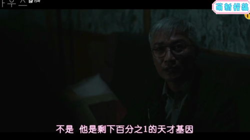 窥探是网飞的剧吗