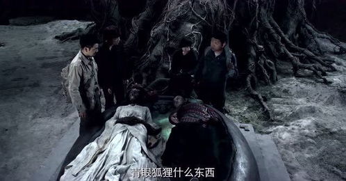 盗墓笔记第一季免费观看，盗墓笔记第一季免费观看在线观看