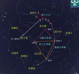 大角星有多大