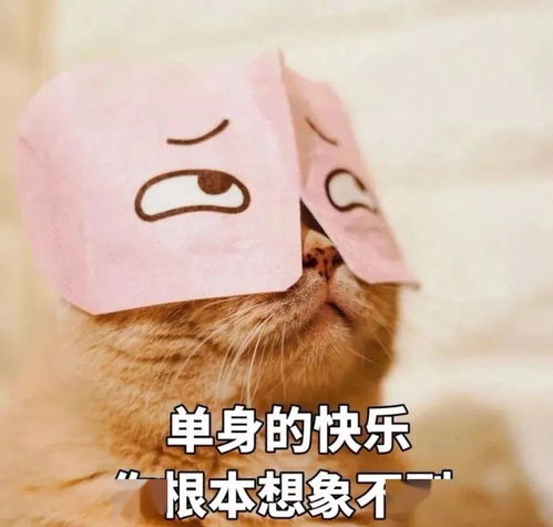 形容单身快乐的句子