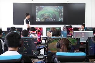 北大青鸟育星,北大青鸟育星电竞学院官网