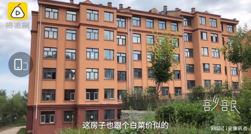 辽宁阜新现万元一套白菜房,价格如此便宜的原因是什么?