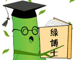 绿博士,绿博士视力康复中心