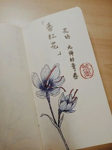 "柳暗花明又一村"中为什么说'柳"是"暗"的,"花"是"明"的