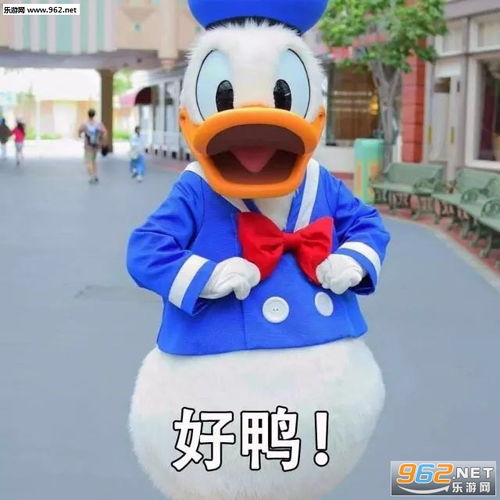 下面的“冲鸭”表情包里的鸭子是不是国家一级重点野生保护动物?_百度