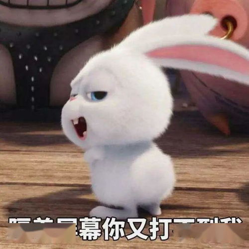 萌宠大作战超进化条件是什么
