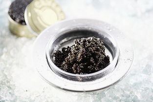 鱼子酱怎么做，鱼子酱怎么做出来的