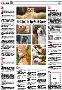 网络语言大全及其解释