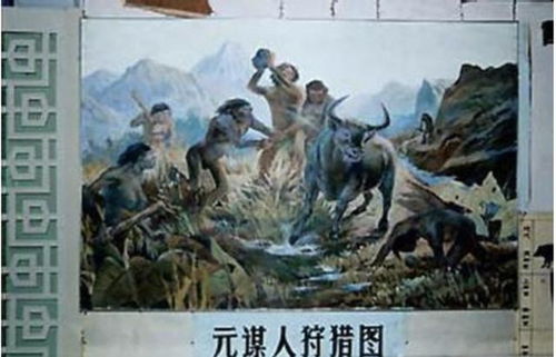 我们的祖先是什么人