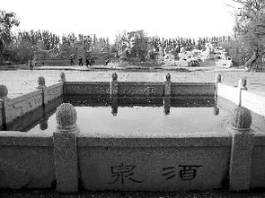 谁知道哪里可以方便阅读酒泉日报每天最新的数字报?