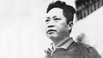 叶挺夫妇空难牺牲后,后人结局:次子成将领,四子做飞行员遭反对