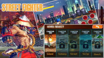 Street Fighter 是什么意思