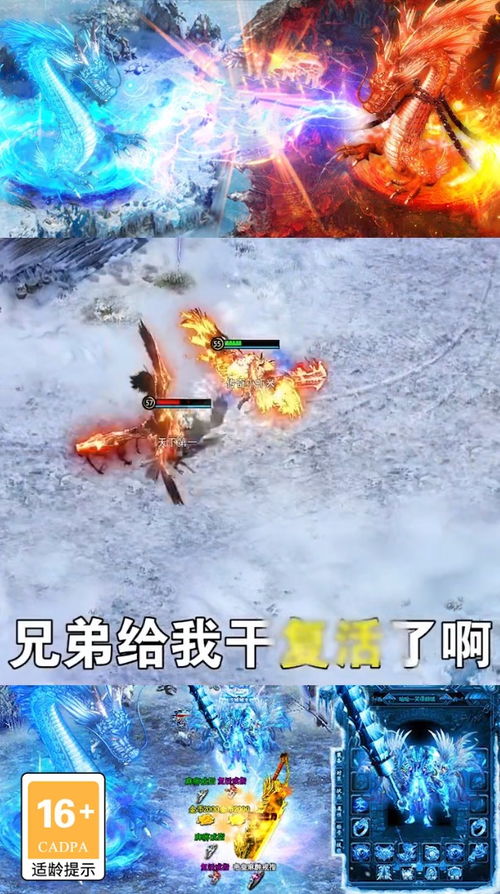 游侠传奇，游侠传奇1981高清电影国语