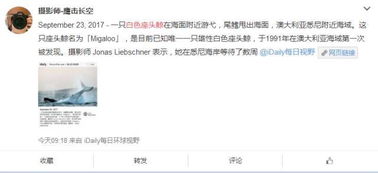 米迦罗，米迦罗英文