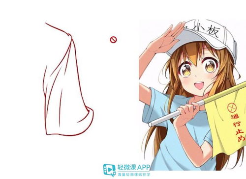 血小板的英文是什么?