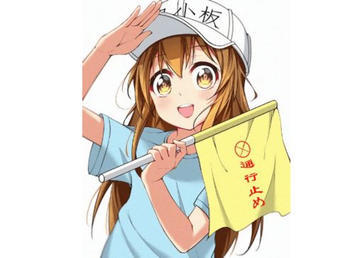 什么是血小板