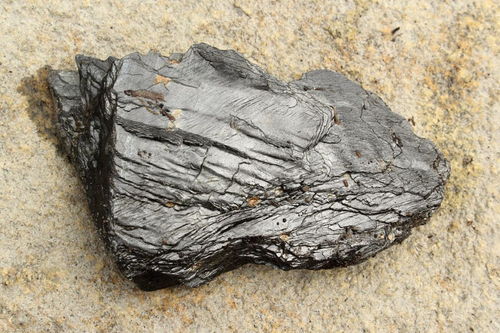 广东发现7块距今1.82亿年菊石化石,专家对此有何解释?