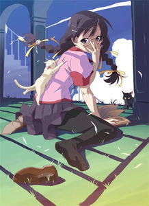 羽川翼