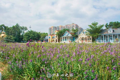 伊旬园